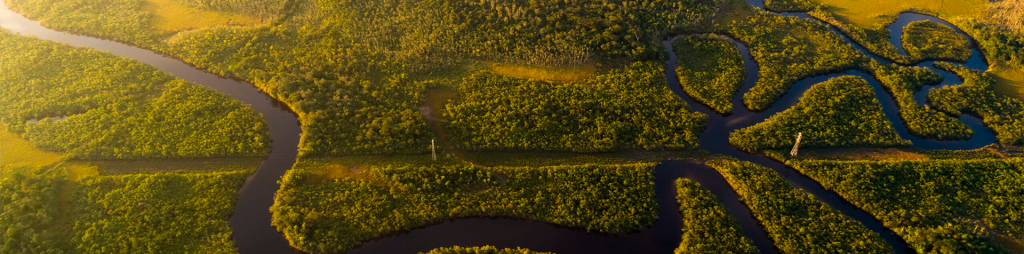 A Amazônia verde – um pouco da sua história